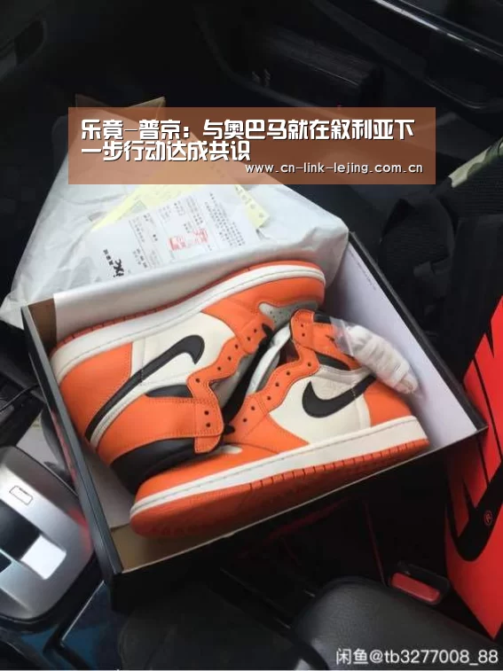 乐竟