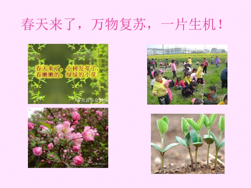 乐竟体育官方